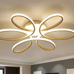 Plafonnier Luminaire | 15543908565374