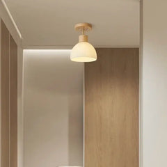 Luminaire Plafonnier | 15543901913470