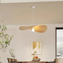 Suspension Luminaire | 15543921508734