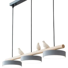 Suspension Luminaire | 15543930683774