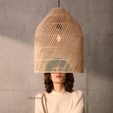 Suspension Luminaire | 15543919903102