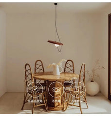 Suspension Luminaire | 15543929274750