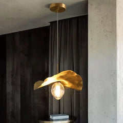 Suspension Luminaire | NAEVYS
