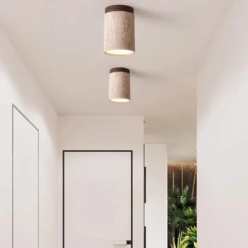 Luminaire Plafonnier | PIDRI