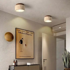 Luminaire Plafonnier | PIDRI