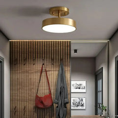 Luminaire Plafonnier | FORGA
