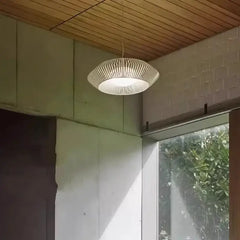Suspension Luminaire | BIJOL