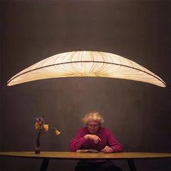 Suspension Luminaire | FEDU