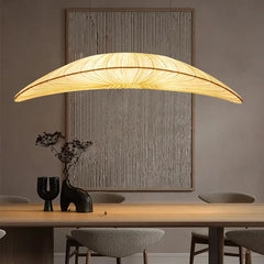 Suspension Luminaire | FEDU