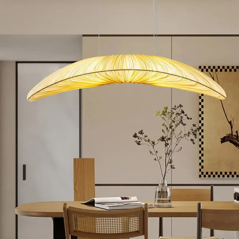 Suspension Luminaire | FEDU