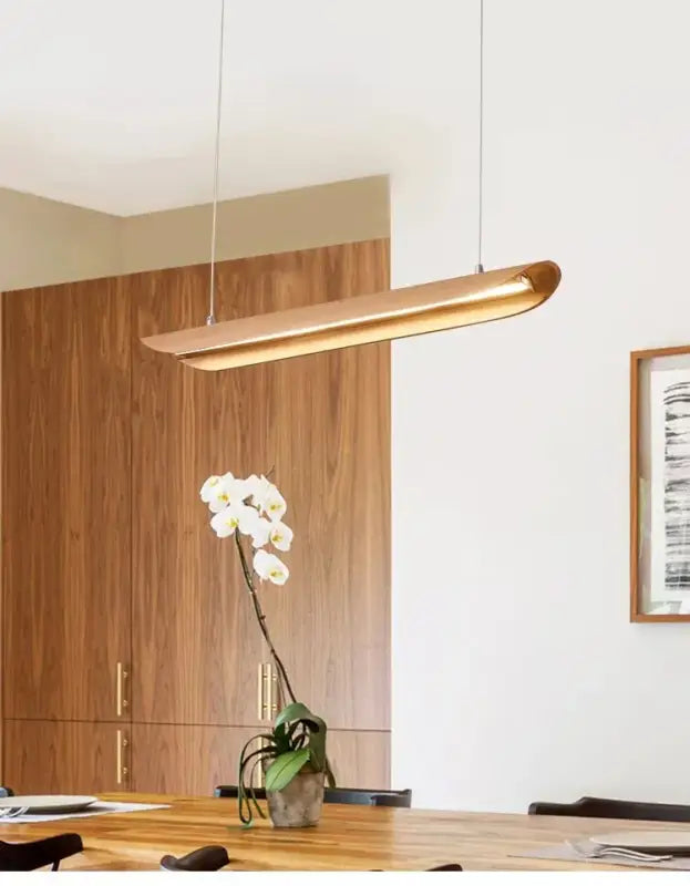 Suspension Luminaire | ZENO