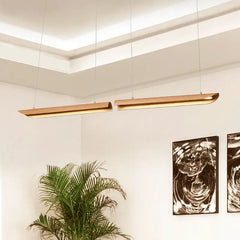 Suspension Luminaire | ZENO