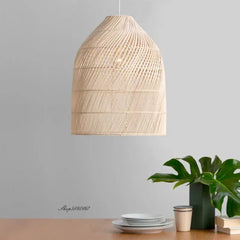 Suspension Luminaire | LANTO