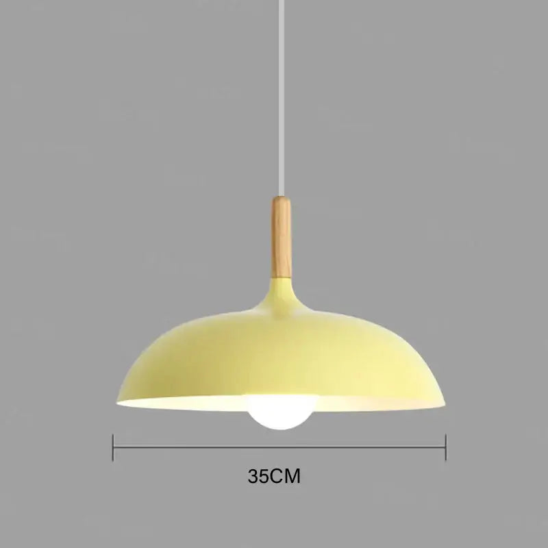 Suspension Luminaire |  15543910859134