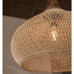 Suspension Luminaire | JATRE