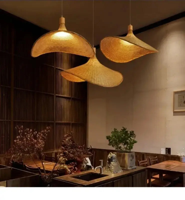 Suspension Luminaire | GAFI